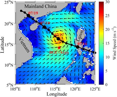 Far-Field Impacts of a Super Typhoon on Upper Ocean Phytoplankton Dynamics